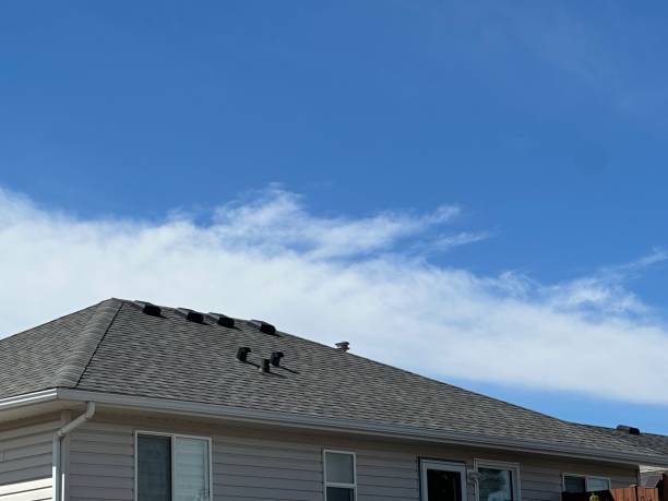Best Roof Ventilation Installation  in Allyn, WA